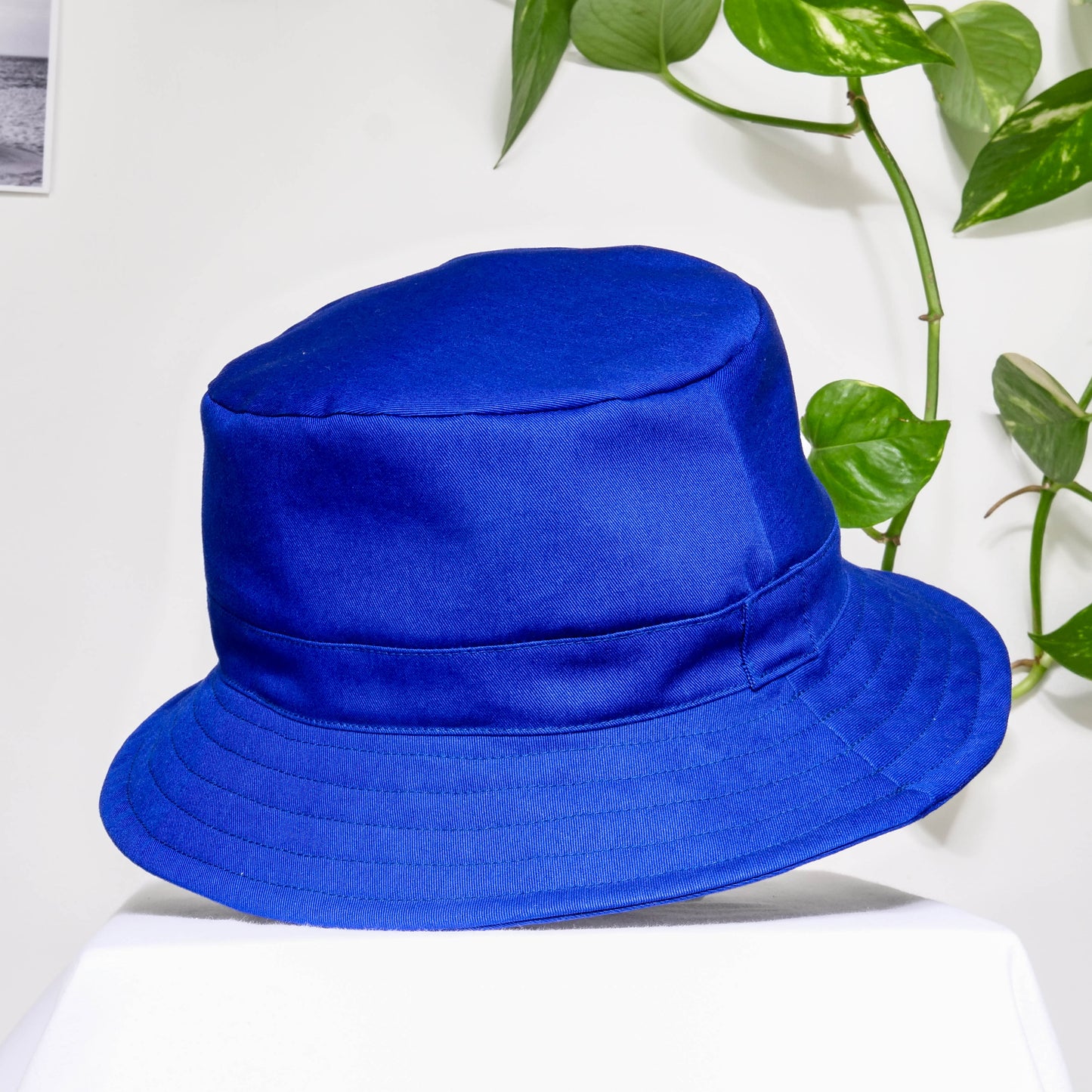 Bob - Sergé bleu roi