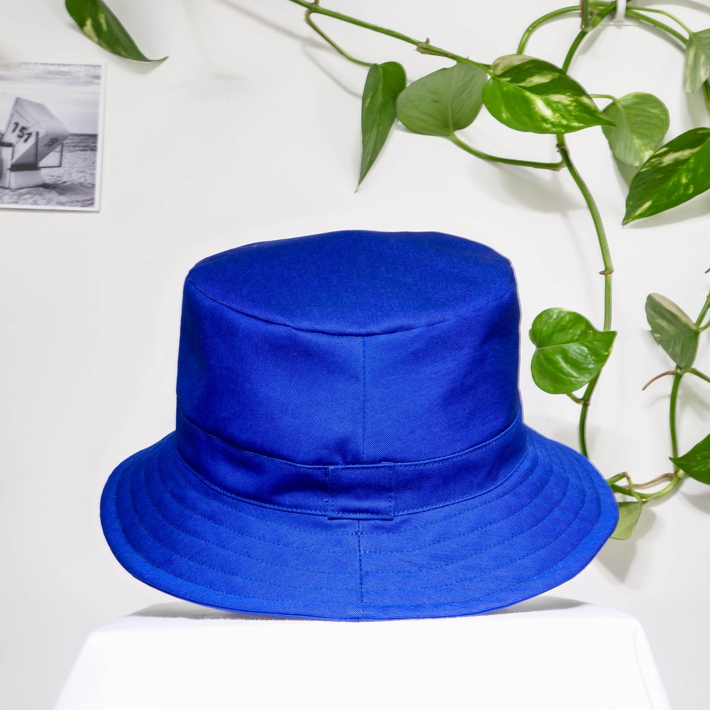Bob - Sergé bleu roi